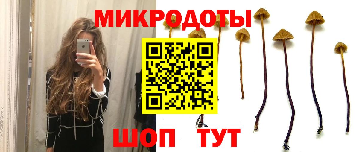 Горячий Ключ  Псилоцибиновые грибы мицелий  Вход с VPN 