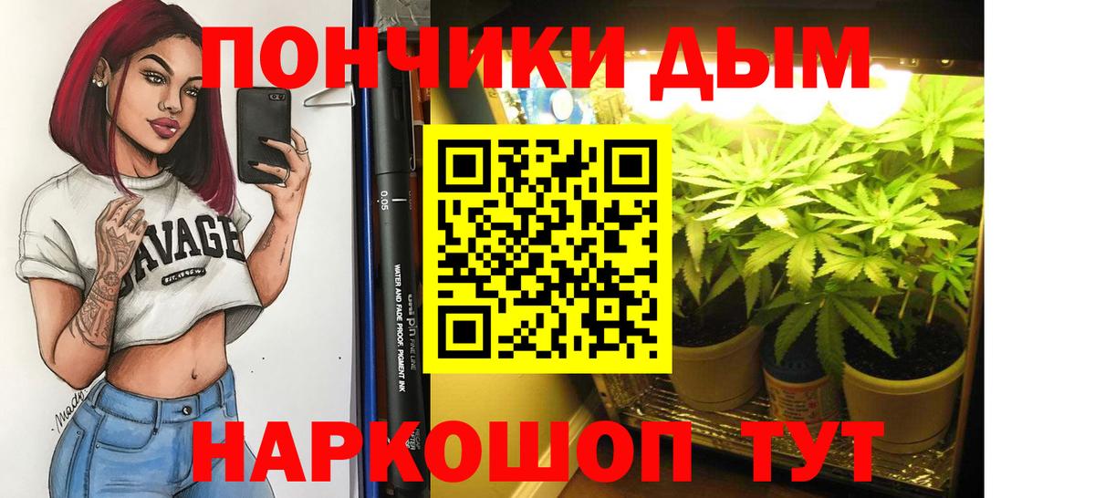Канабис конопля  Каннабис семена  Марихуана THC 21%  Горячий Ключ  Вход с VPN 